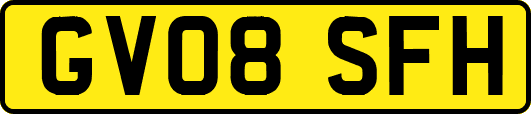 GV08SFH