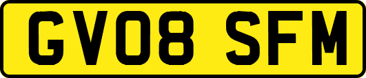 GV08SFM