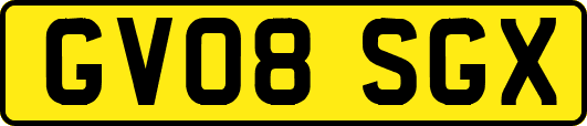 GV08SGX