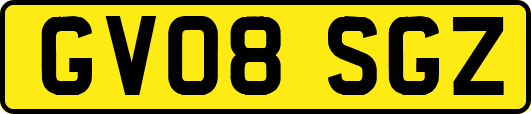GV08SGZ
