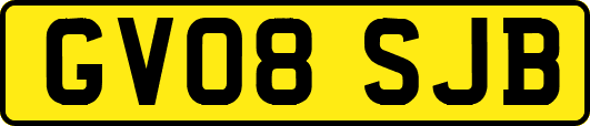 GV08SJB