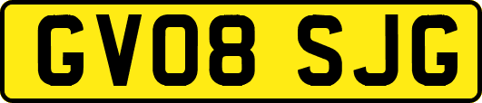 GV08SJG