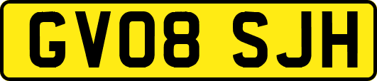 GV08SJH