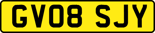 GV08SJY