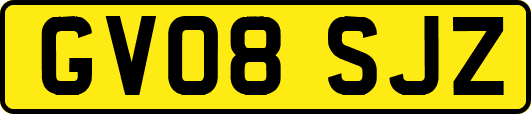 GV08SJZ