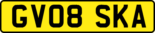 GV08SKA