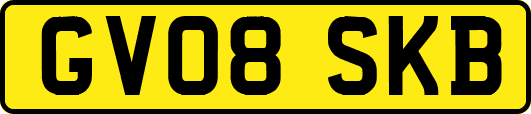 GV08SKB