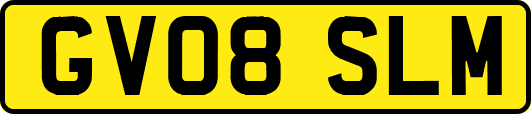 GV08SLM