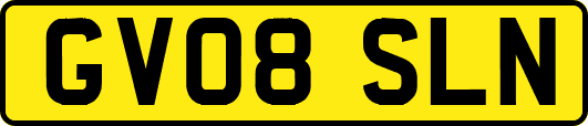 GV08SLN