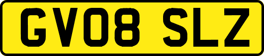 GV08SLZ