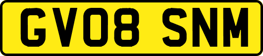 GV08SNM