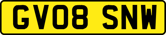 GV08SNW
