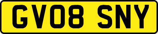 GV08SNY