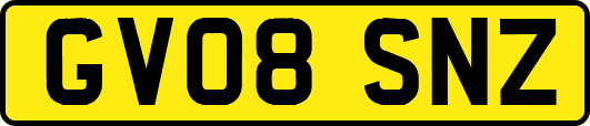 GV08SNZ