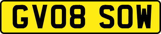 GV08SOW