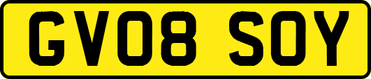 GV08SOY