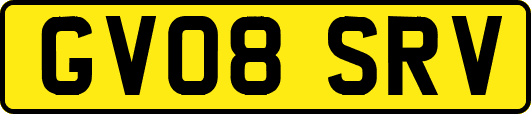 GV08SRV