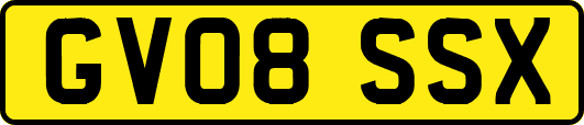 GV08SSX