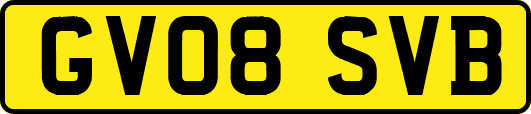 GV08SVB