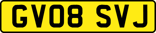 GV08SVJ
