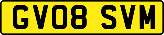 GV08SVM