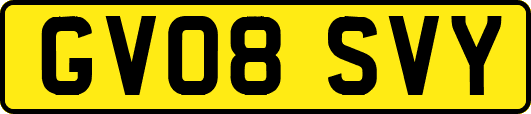 GV08SVY