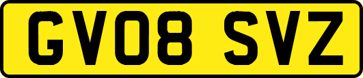 GV08SVZ