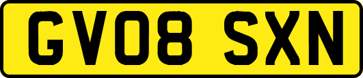 GV08SXN