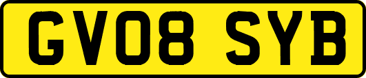 GV08SYB