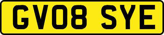GV08SYE