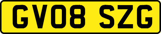 GV08SZG