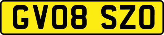 GV08SZO