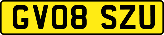 GV08SZU