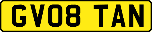 GV08TAN