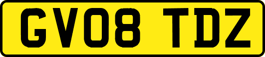 GV08TDZ