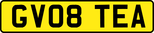 GV08TEA