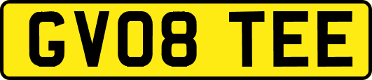 GV08TEE