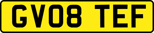 GV08TEF