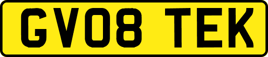 GV08TEK