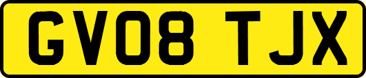 GV08TJX