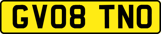 GV08TNO