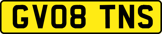 GV08TNS