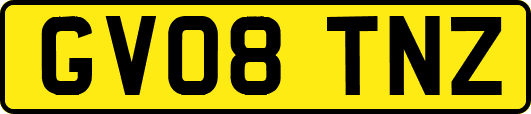 GV08TNZ