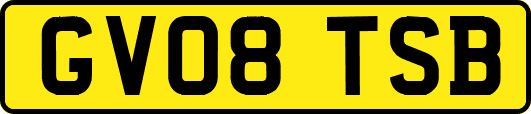 GV08TSB