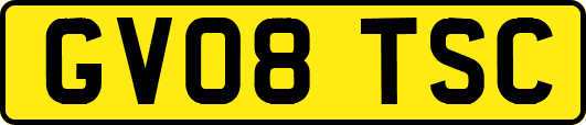 GV08TSC