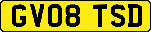 GV08TSD
