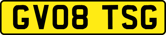 GV08TSG