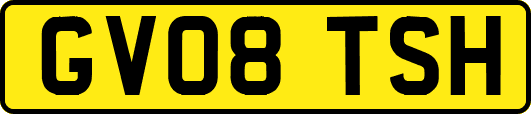 GV08TSH