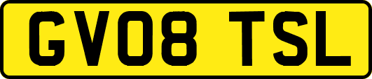GV08TSL