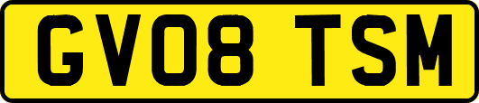GV08TSM